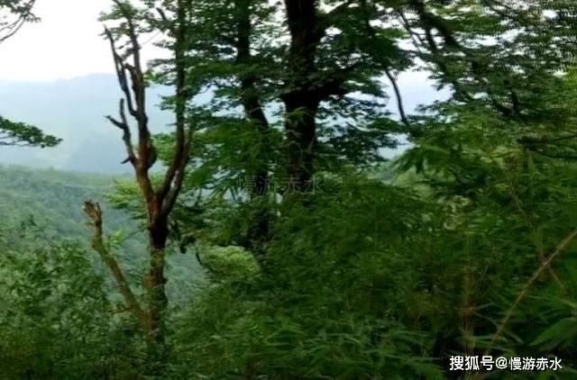 三国群英6